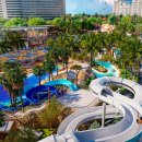 탄두르베이커리 | 두바이 | 그랜드 하얏트 | Grand Hyatt Dubai | 25년 11월 워터파크 오픈!