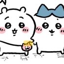 모몽가 이미지