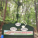 국사봉 이미지