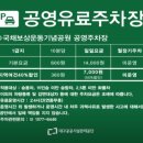 대구 동성로 셀프사진관 애견 동반 촬영 가능한 호록사진관 후기