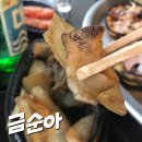 해물포 이미지