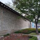 비상사태- 건조감과 트러블 재생앰플로 최고100개 한박스 라키아앰플 내일까지 공구에요.삼청동데이트...