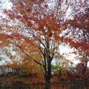 251118 SK, 연장 혈투 끝에 KT에 역전승… 여자농구 하나는 우리 제압 이미지