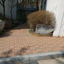 3.31(월) 91세대137대/이블일광소독/삼환나우빌 이력 이미지