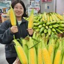 염가마트 이미지