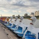 금호강10 이미지