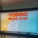 을지로입구역7번 출구 | 요시고 사진전 2 &#39;Miles to Go&#39; 후기 | 그라운드시소 센트럴 관람 완벽 가이드
