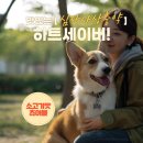 맘편한약국 | 화성시 반월동 맘편한약국에서 강아지약 구매하세요! 강아지 심장사상충약 하트세이버는 맘편한약국에서...