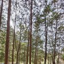 경천애인마을 이미지