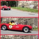 프리마 베라 이미지