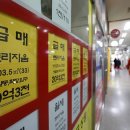 부동산뉴스공인중개사사무소 이미지
