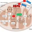 일산365온의원 이미지