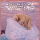 내 평생 살아온 길 / 카톡GIF 이미지