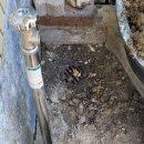 금산시외버스터미널 | 금산 시외버스터미널 인근 주택 수도요금 급증 원인, 마당 배관 누수탐지 및 수리 과정