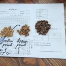 바리스타초급(목) 이미지