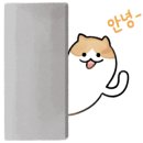 에이치필 이미지