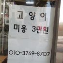 수애견