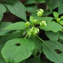 도봉-도봉-2011 이미지