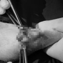 전주동물병원 이미지