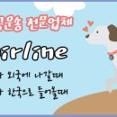 (주)펫에어라인 이미지