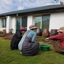 하도조아 이미지