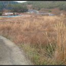 상조도보건진료소 이미지