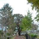 용두주유소 이미지