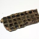 토리네 수제간식 이미지