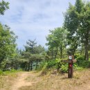 숭덕사 고불봉 등산로 입구 | 전국 트레킹 코스, 해파랑길 20코스 후기, 영덕 고불봉(망월봉) 등산, 영덕풍력발전단지, 영덕해맞이공원