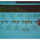 리패션 | <21세기 곡선이 대안이다> - 유영만 교수