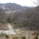 곡성-219 이미지