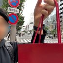 다이아 | [Review : 까르띠에 저스트앵끌루 다이아 팔찌 구매 / 레이어드 후기]