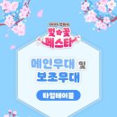 2025 연화지 벚꽃 페스타 이미지