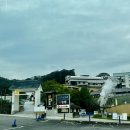 멘츠 | 지옥 온천 대신 만난 벳부 라멘 맛집 | 멘츠 크라브 만족 후기