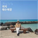 애월스쿠버 | 곽지해수욕장 아이랑 가볼만한 곳 주차 요금 주차장 후기