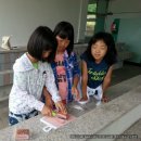 백초초등학교 이미지