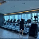 베로핏 휘트니스 이미지