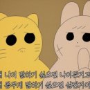 관양시장 - 153908 | 관양시장