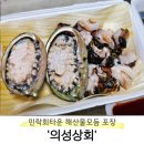 [부산 수영구] 민락회타운 &#39;의성상회&#39; 해산물 모듬 포장 후기