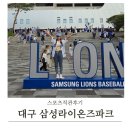 삼성스포츠 - 안산시 상록구 부곡로 92-1 | 대구 삼성라이온즈파크 스카이석 아이들과 함께한 스포츠직관후기 삼성 NC 역전승