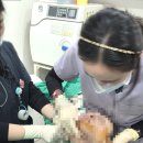 노화고등학교 | 논현 실리프팅 전후, 압토스 후기는 2가지만 보시면 됩니다.