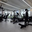 팀비스트GYM 인천 송도점 구인합니다. 이미지