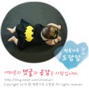 그린페이지(Green page)