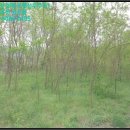 인안2리마을회관 이미지