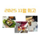11월 이슈N트랜드_환경, 미래 | 2025년 11월 회고