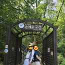 지에스(GS)25 솔밭공원점 이미지