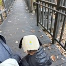 봉산어린이집 | [28개월]11월 셋째주 육아일상-봉산무장애숲길, 라이언베이커, 트니트니, 브레드이발소 키즈카페...