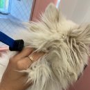 코지독하우스 이미지