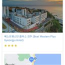[경주 호텔] 4성급 경주 베스트웨스턴 호텔 : 룸에서 일출관람 + 나정 조식뷔페 후기