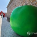 푸른사과 이미지